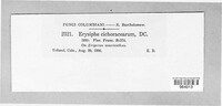 Image Associated With the Occurence